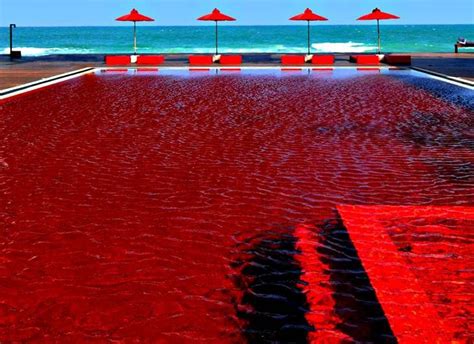 Red Pool at The Library Resort - Koh Samui, Thailand Piscina Hotel, Places To Travel, Places To ...