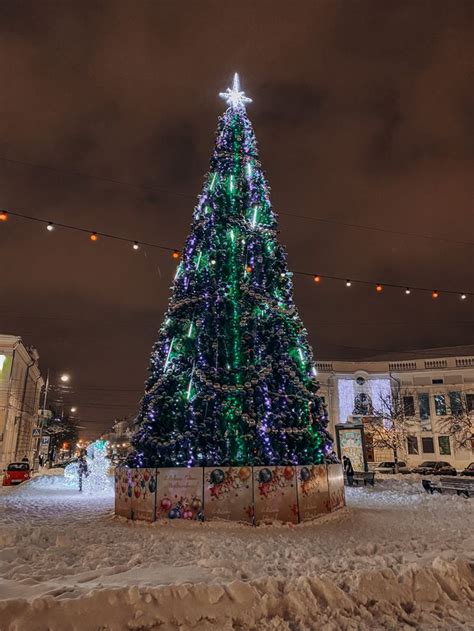 Новогодняя елка in 2024 | Christmas, Holiday, Christmas tree