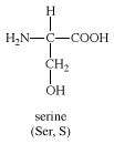 Serine | Definition & Structure | Britannica