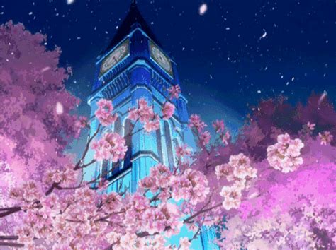 Cherry Blossom Wallpaper Anime Gif 4k - IMAGESEE