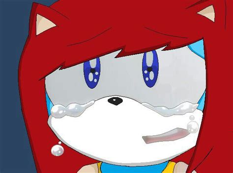 My Sonic the Hedgehog Character, Crying by ShadowLuv432 on DeviantArt