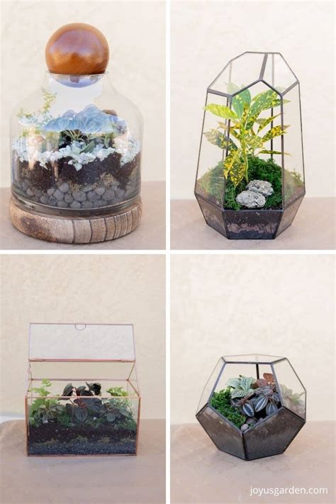 How to Make A Terrarium: 4 DIY Terrarium Ideas