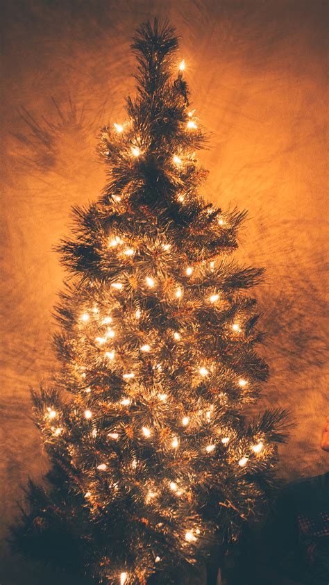 nv79-christmas-tree-light-holiday-tree-nature-wallpaper