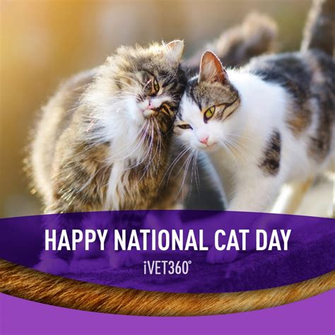 National Cat Day (October 29) – iVET360 Social Calendar