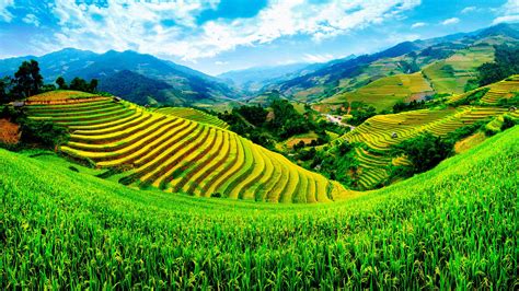 Vietnam Nature Wallpapers - Top Free Vietnam Nature Backgrounds - WallpaperAccess