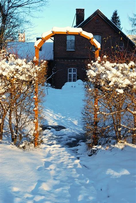 Garden gate in the winter Free Stock Photo | FreeImages