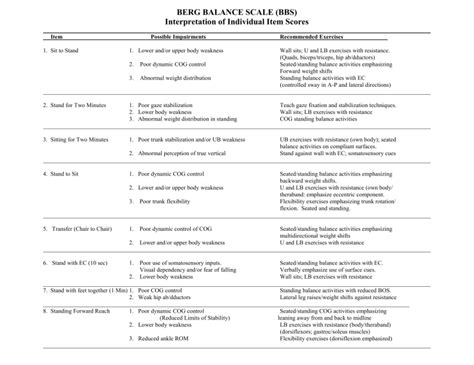 Berg Balance Scale Interpretation with Interventions