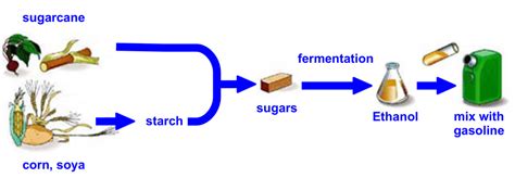 1: First generation biofuels use as major glucose source crop products ...