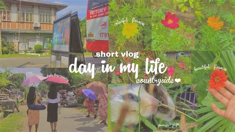 sample video | a day in my life ⛅ | aesthetic countryside - Ko-fi ️ Where creators get support ...