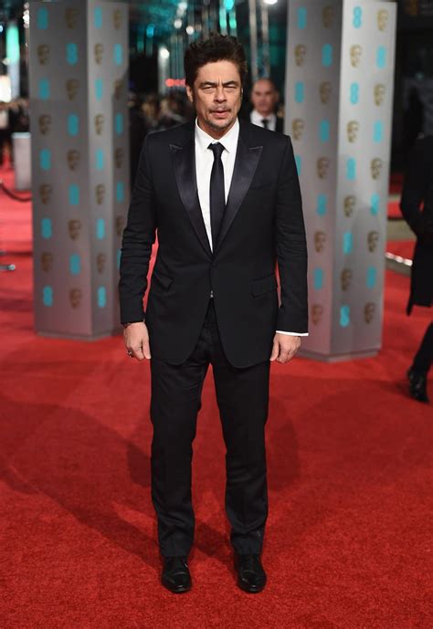 Benicio del Toro at the 2016 BAFTA Awards' red carpet - Photos at Movie'n'co