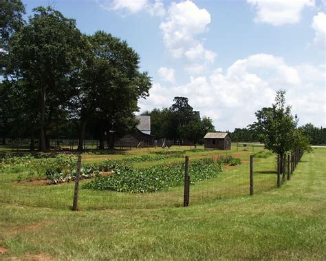 Jimmy Carter Boyhood Farm | Explore Georgia