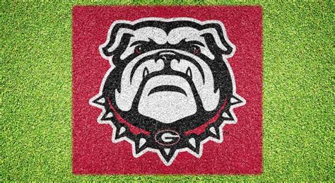 Georgia Bulldog UGA Face Stencil Kit - XL GAOOS-003 | U-Stencil - A Stencil Universe