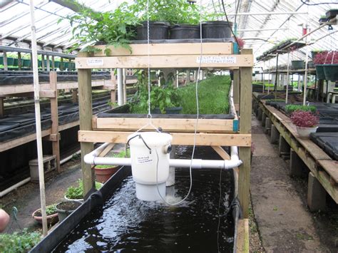 Growing Power grows fish, veggies, and community with aquaponic farm