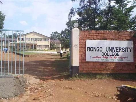 Rongo university college fee structure & courses offered Tuko.co.ke