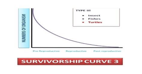 Survivorship Curves: All 3 Types And Their Important Examples