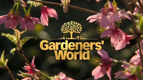 Gardeners’ World 2023 episode 3