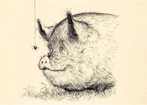 1000+ images about Charlotte's Web Illustrations, etc. on Pinterest