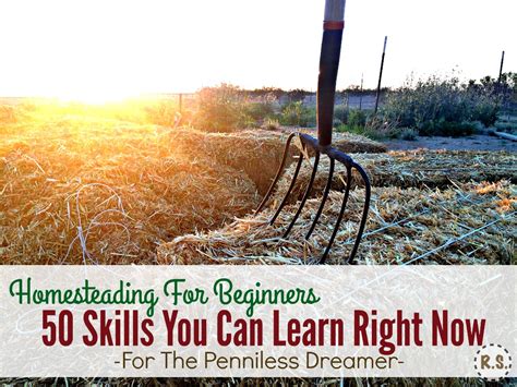 50 Homesteading Skills You Can Learn Right Now