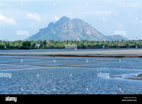 salt pans at Tamil Nadu, India Stock Photo - Alamy