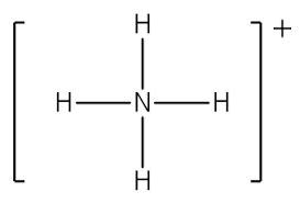 Nh4 Dot Structure