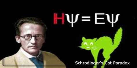 Schrodinger’s Cat Paradox- Stories Explaining the Behavior Particles