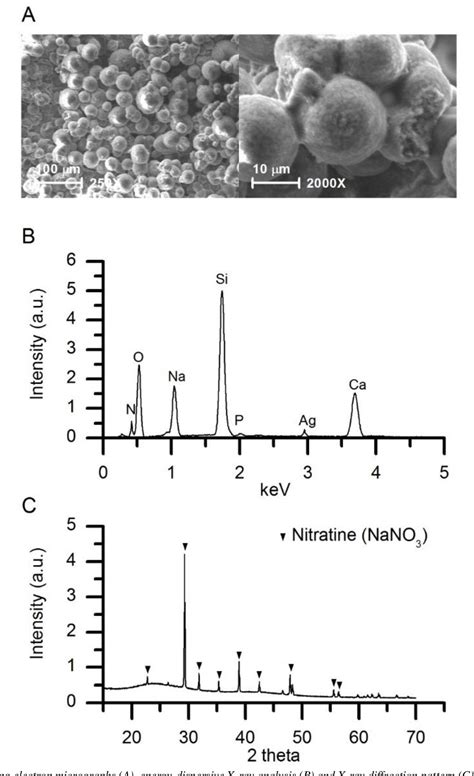 Figure 1 from Comparability in bioactivity assays of 45s5 bioglass scaffolds using simulated ...