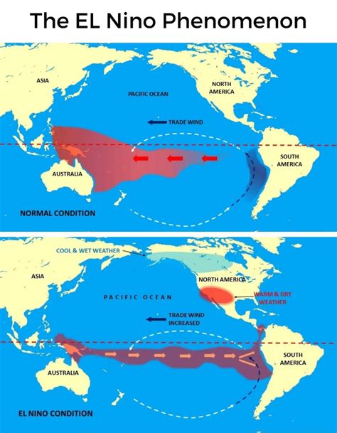 Weather Patterns: El Niño And La Niña Reading Comprehension | lupon.gov.ph