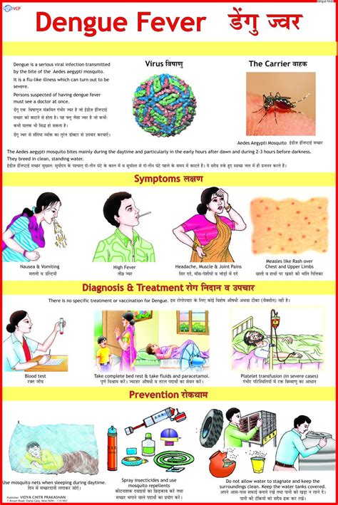 Buy Dengue Fever Chart Wall Chart – 1 January 2015 Online at desertcartUAE