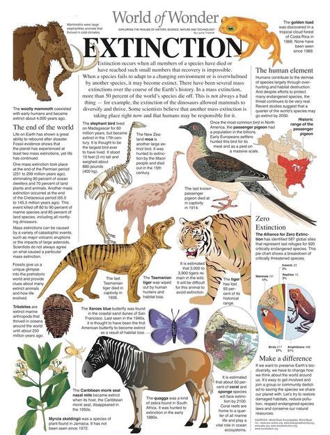 Top 10 timeline of extinction of animals ideas and inspiration