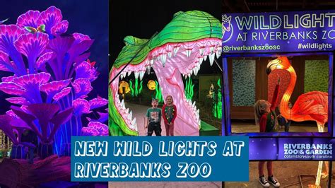 NEW Wild Lights Christmas Event at Riverbanks Zoo in Columbia, SC in ...