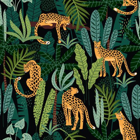 Rainforest Animals Illustrations, Royalty-Free Vector Graphics & Clip ...