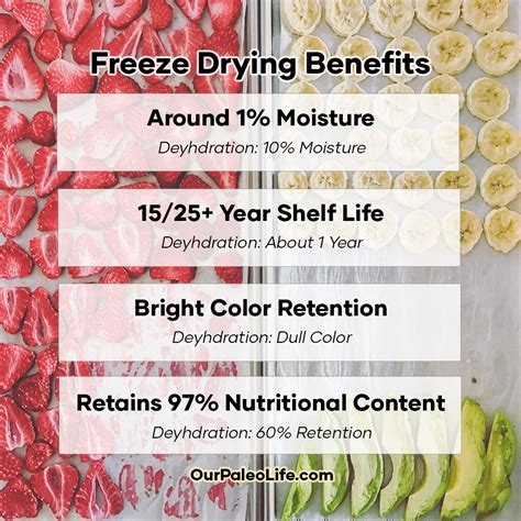 Freeze Dried vs. Dehydrated - What's the best method for food storage?