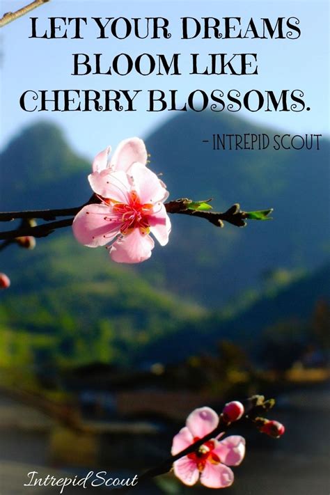 Cherry Blossom Quotes and Captions for Instagram in 2022 | Cherry blossom quotes, Blossom quotes ...