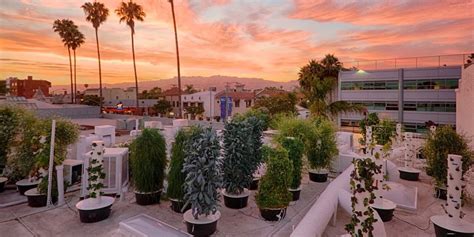 Why Rooftop Farming Is the Best Solution for Smart Urban Agriculture — AGRITECTURE