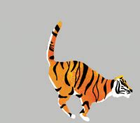 Animated Tiger Running Gif