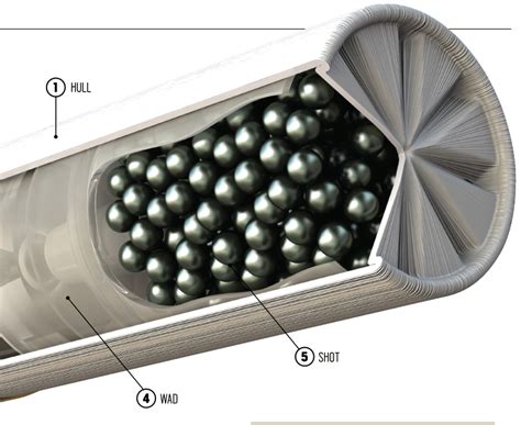 Anatomy Of A Shotgun Shell