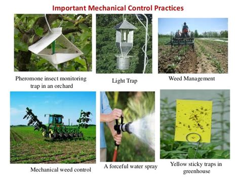 INTEGRATED PEST MANAGEMENT - Best pest control and Cleaning Services ...