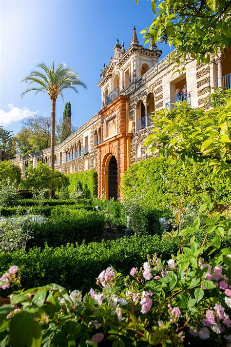 Real Alcazar gardens. Seville, … – License image – 71346403 lookphotos