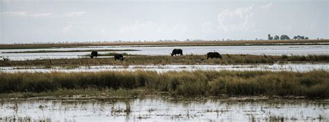 Botswana Weather & Climate | Botswana-Experience