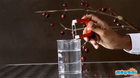 Can Magnets Work through Substances? Underwater Magnetism Experiment | Educational Videos by ...