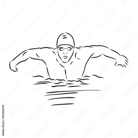 illustration of a swimmer , black and white drawing, white background. swimmer vector sketch ...