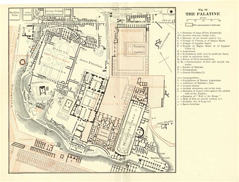 Plan of the Palatine Hill | Palatine, Detailed map, Ancient rome