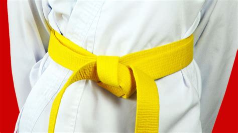 First Emirati with a disability gets yellow belt in karate | Al Bawaba