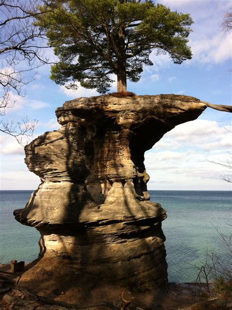 A Lake Superior rock formation.....trees will grow anywhere! I love Lake Superior!!!! | Lake ...