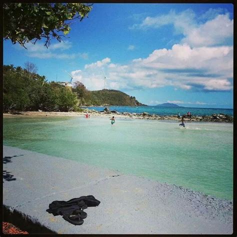 La Fanduca Naguabo | Puerto rico, Puerto, Outdoor