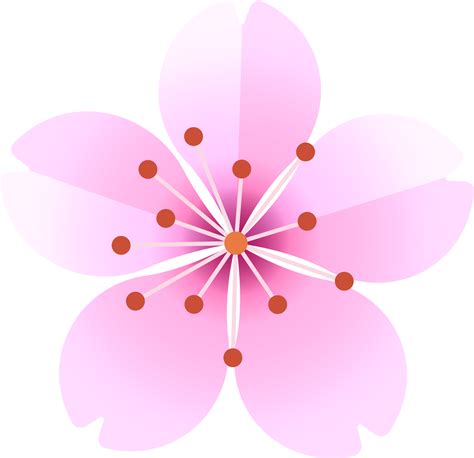 sakura flower japan icon 19046346 PNG