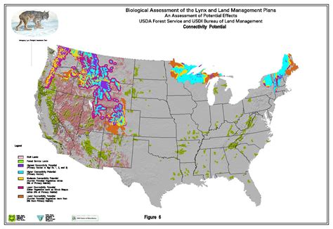 Lynx BA, Figure 6.