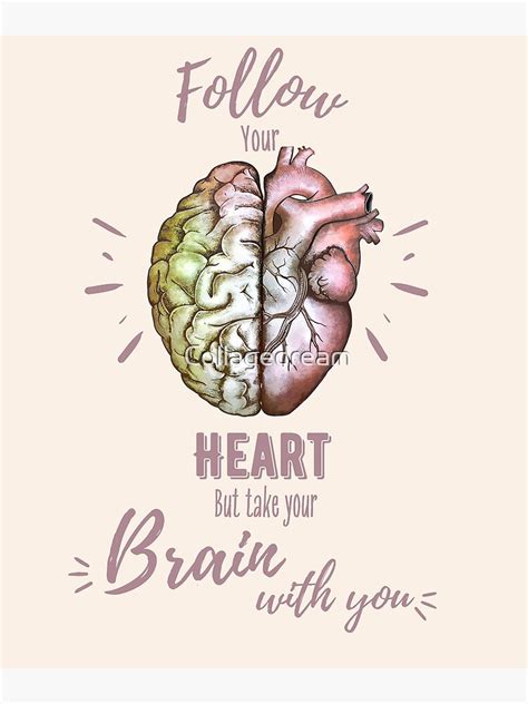 "Follow heart but take your brain with you, right balance between brain ...