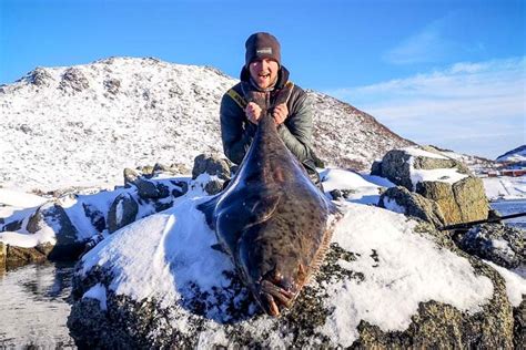 Atlantic Halibut: Species Spotlight | Fishing Holidays | Sportquest Holidays