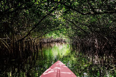 Florida Kayaking Destinations | Kayak Palmetto, Fl | Log Kayak Rack